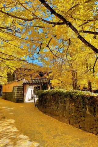 These forgotten small towns lie dormant for a year just to become legendary in late autumn