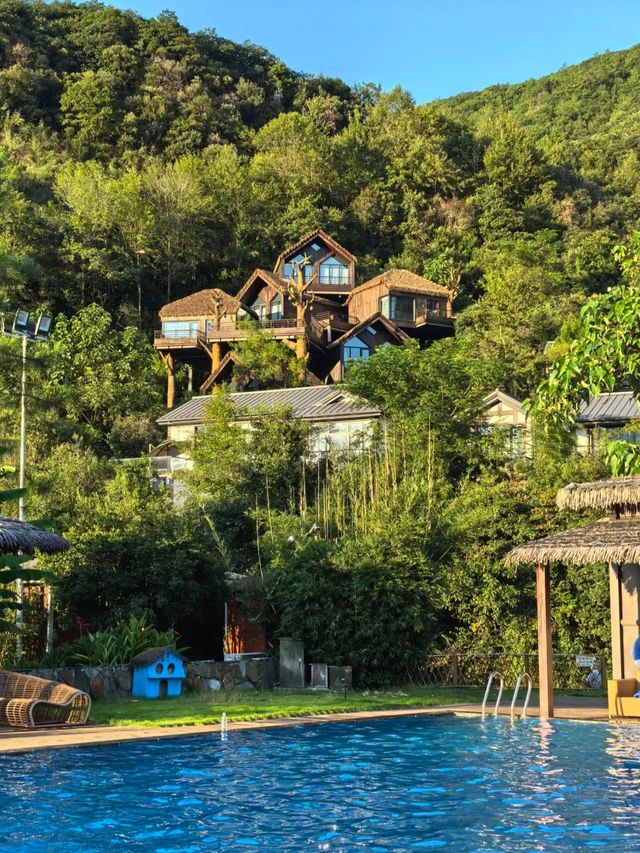 諸暨芳草地，住進了森林裡！