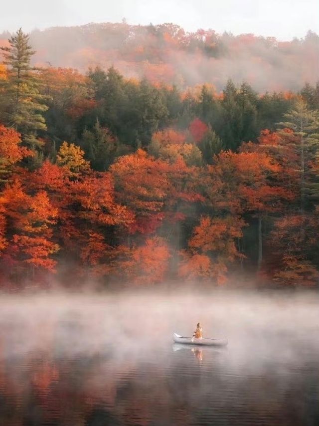 霜染鍋盔鋪錦繡 暖居枕秋入夢來
