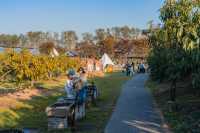 烏村的秋，藏在被忽略的細節裡