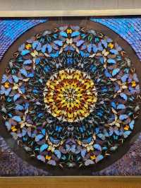 Shanghai Natural History Museum: Dinosaur Vibes & Stunning Artwork 🦖🦋