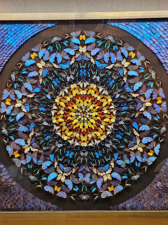 Shanghai Natural History Museum: Dinosaur Vibes & Stunning Artwork 🦖🦋 Shanghai Natural History Museum: Dinosaur Vibes & Stunning Artwork 🦖🦋