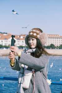 青島|人人喜愛的海鷗又回來啦餵海鷗真好玩