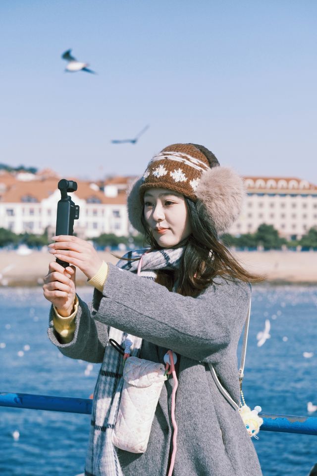 青島|人人喜愛的海鷗又回來啦餵海鷗真好玩