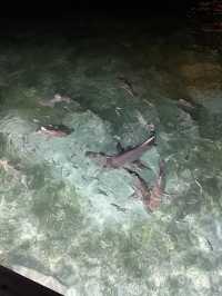 Delightful Experience at Chezelle Lounge