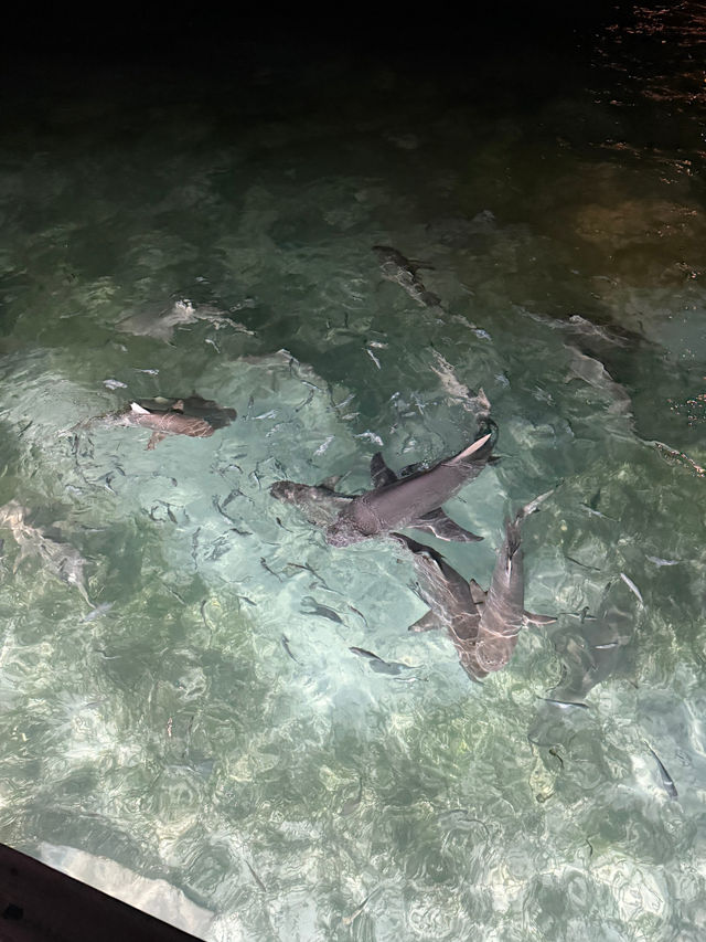 Delightful Experience at Chezelle Lounge