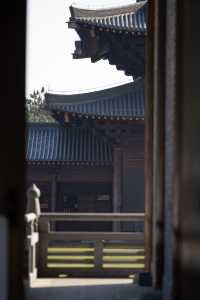 【長安荔枝香山遊，禪意旅途正當時】