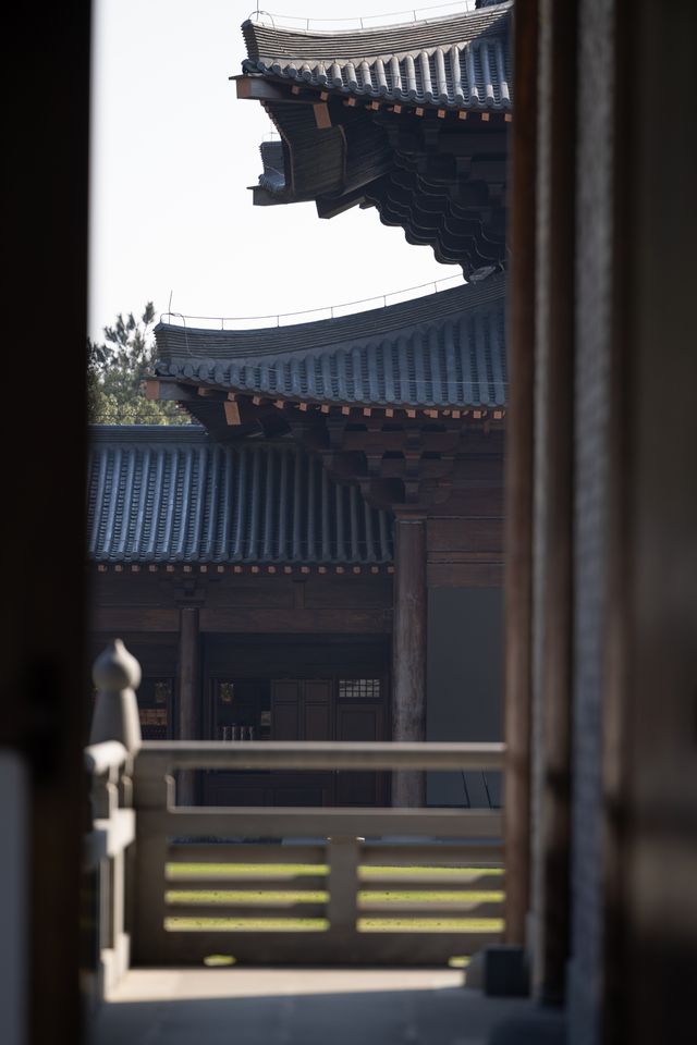 【長安荔枝香山遊，禪意旅途正當時】