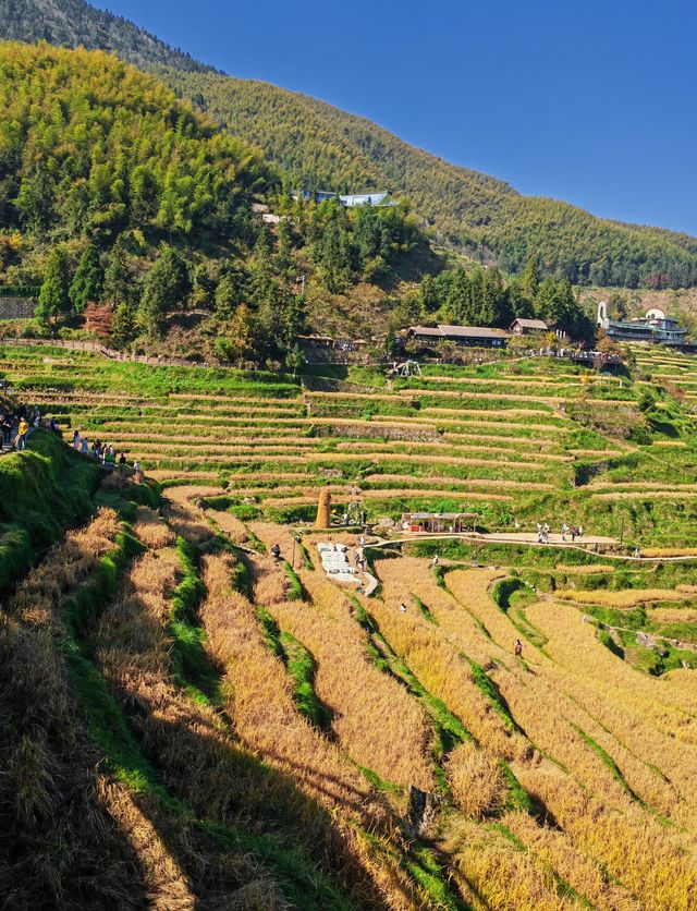 雲和梯田 雲和梯田
