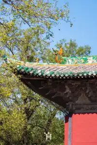 別再衝敦煌了，永樂宮一樣讓你震撼！