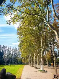 上海野生動物園30歲免費！週末遛娃聖地！