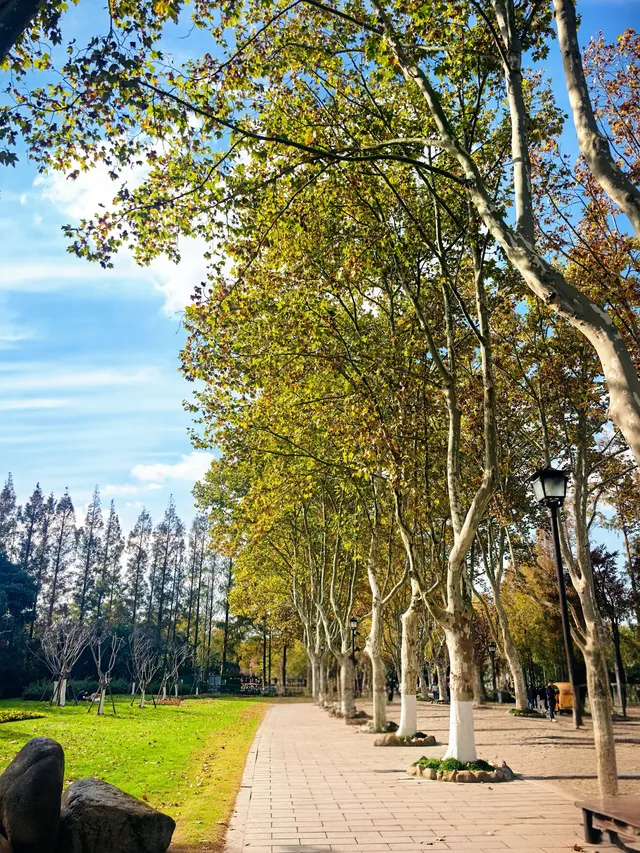 上海野生動物園30歲免費！週末遛娃聖地！