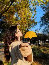 11.20實拍，武漢市中心看銀杏就這裡人最少