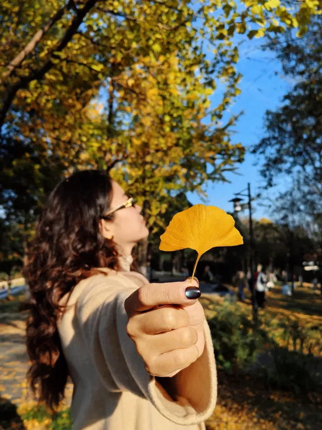 11.20實拍，武漢市中心看銀杏就這裡人最少