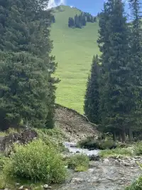 新疆伊犁8天暴走行程|自由行旅遊攻略