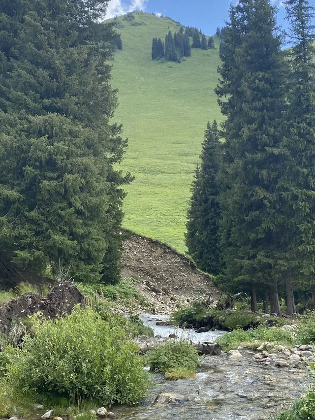 新疆伊犁8天暴走行程|自由行旅遊攻略 新疆伊犁8天暴走行程|自由行旅遊攻略