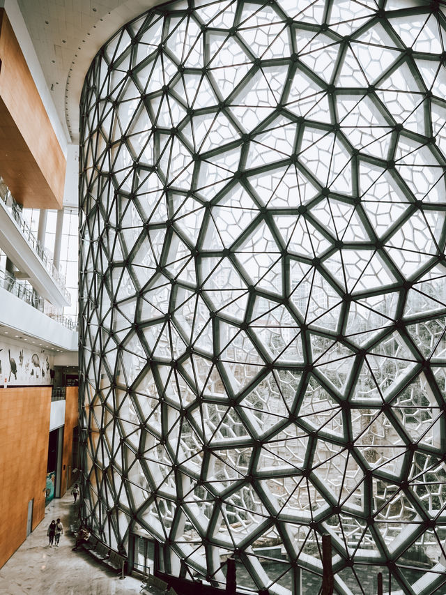 Самый красивый Шанхайский музей природы 🦖🇨🇳