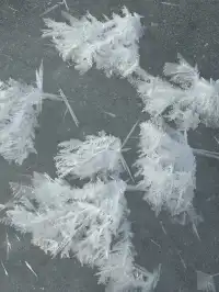 4大2小｜阿勒泰禾木喀納斯美到失語的秋假