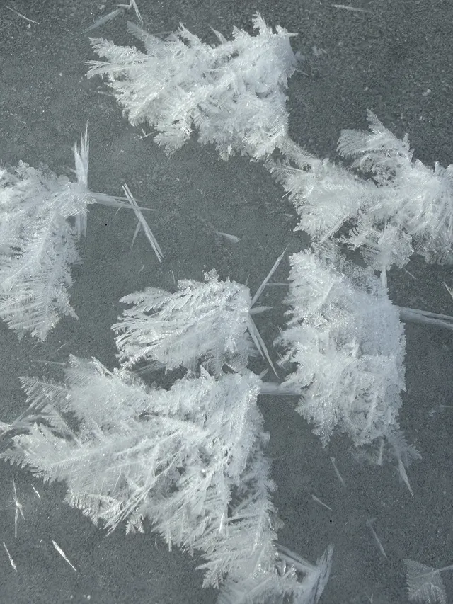 4大2小｜阿勒泰禾木喀納斯美到失語的秋假