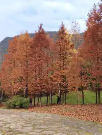 貴陽初冬·唯一想去無數次的公園