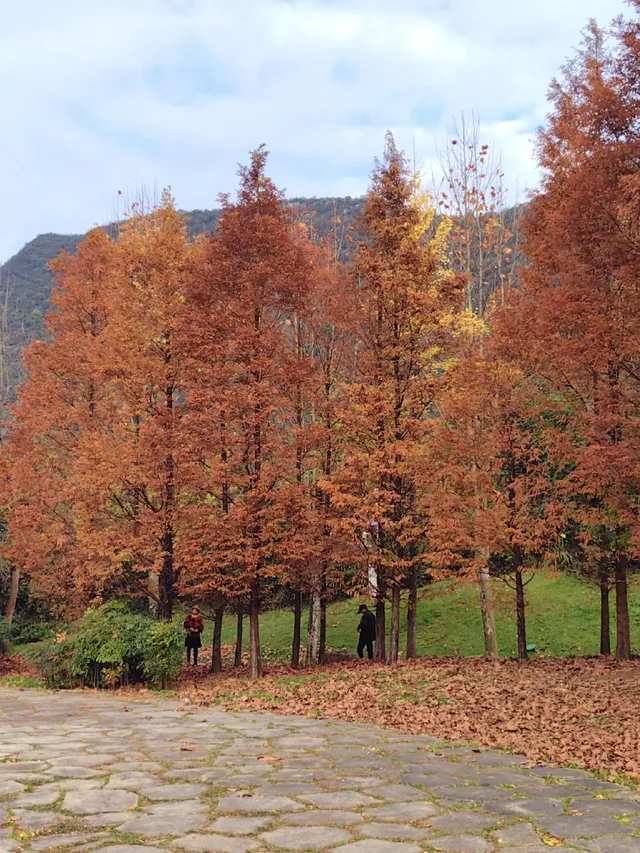 貴陽初冬·唯一想去無數次的公園