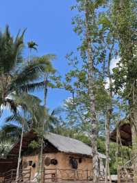 秋遊三亞包車遊太惬意啦