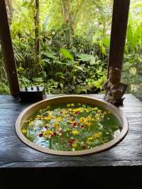 A Perfect Retreat in Ubud