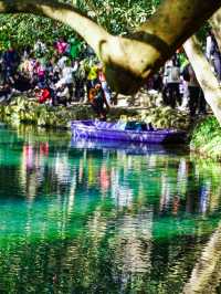 12.1實拍九溪現實版莫奈的秋日花園