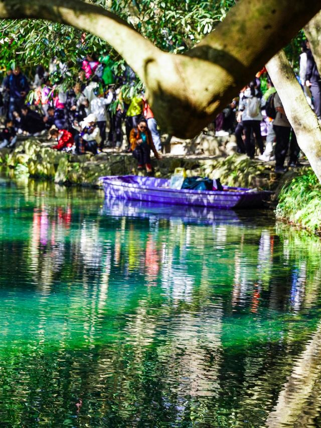 12.1實拍九溪現實版莫奈的秋日花園