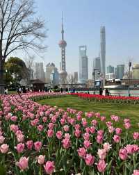 魔都版莫奈花園打卡|四季皆美,打卡不踩雷