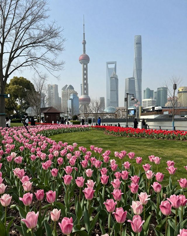 魔都版莫奈花園打卡|四季皆美,打卡不踩雷 魔都版莫奈花園打卡|四季皆美,打卡不踩雷