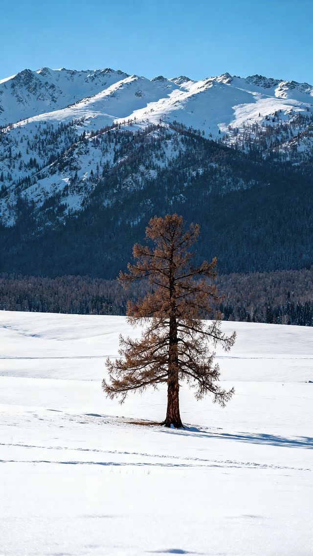 喀納斯禾木冬季遊玩攻略|||以下是一份詳細的喀納斯禾木冬 喀納斯禾木冬季遊玩攻略|||以下是一份詳細的喀納斯禾木冬
