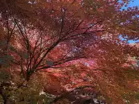 不是京都!實況無調色