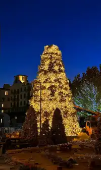 阿那亞童話月精簡攻略2025.11.28-2026.1.3