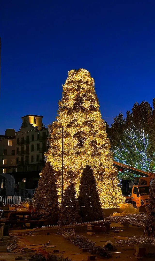 阿那亞童話月精簡攻略2025.11.28-2026.1.3 阿那亞童話月精簡攻略2025.11.28-2026.1.3