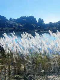 季節限定|雲南獨有的水上石林