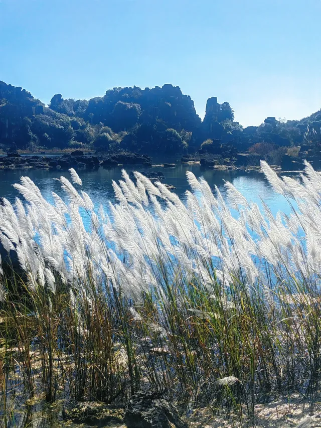 季節限定|雲南獨有的水上石林 季節限定|雲南獨有的水上石林