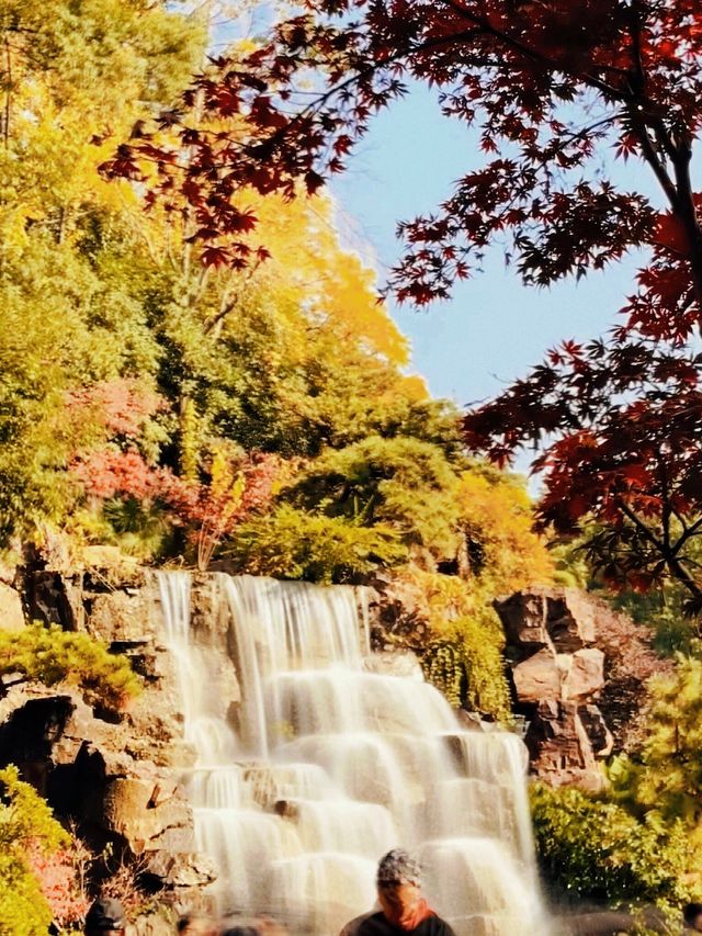 秋日魔都光影秘境