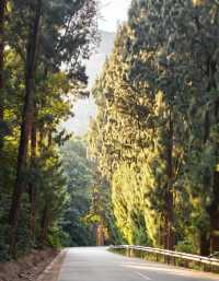 南澳島包車一日遊|被風吹傻但值得