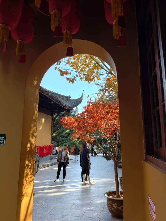 魔都初冬限定龍華寺銀杏太絕了! 魔都初冬限定龍華寺銀杏太絕了!