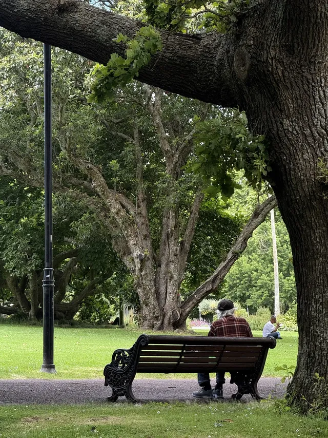 陰天 在奧克蘭city的周邊 陰天 在奧克蘭city的周邊