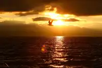 騰衝大理九日遊-洱海海西生態廊道