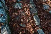 馬籠宿妻籠宿秋日遊記