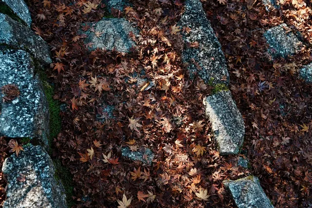 馬籠宿妻籠宿秋日遊記