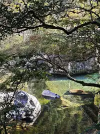 自駕分享: 武夷山國家公園一號風景道