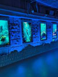 哈爾濱極地公園攻略筆記