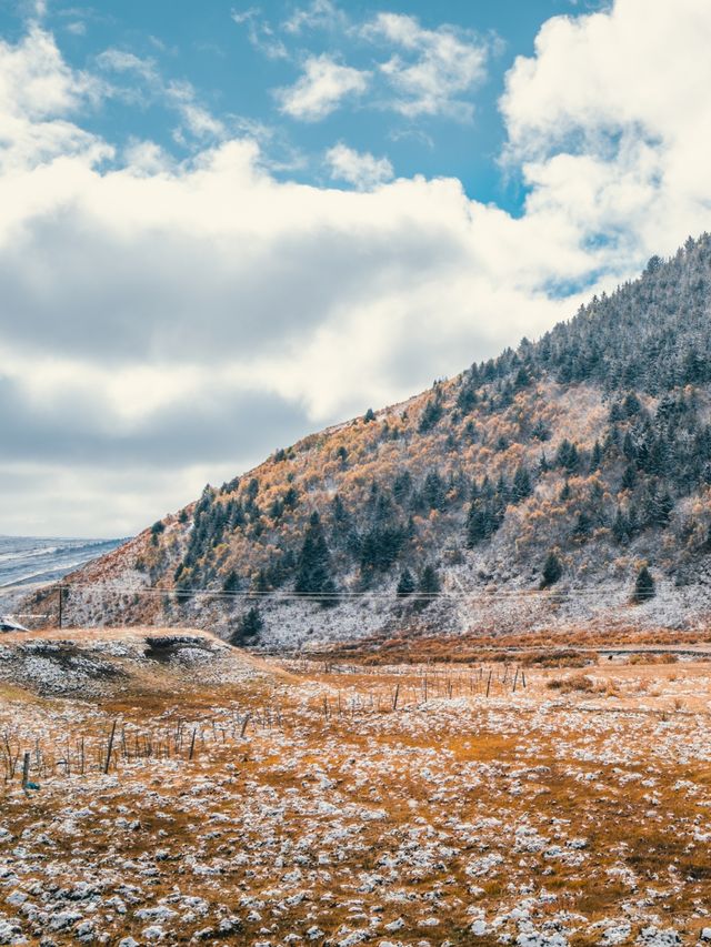 自駕川西|一場大雪,川西有了冬日氛圍 自駕川西|一場大雪,川西有了冬日氛圍