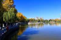 藏在城芯湟水畔，人文與自然的共生秘境