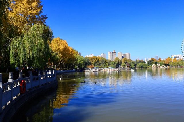 藏在城芯湟水畔，人文與自然的共生秘境