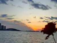 晴天來這片海,美到失語!!